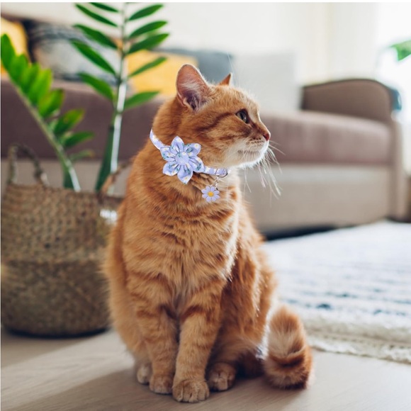 Really cute cat collar 2x - Picture 7 of 14